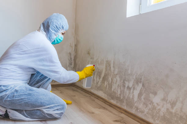 Licensed Crawl Space Mold Remediation service in Englewood Cliffs, NJ - 24 Hour Mold Removal