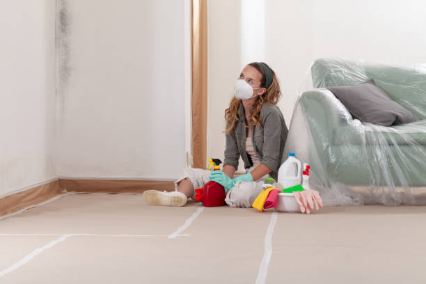 Reliable Crawl Space Mold Remediation contractor in Englewood Cliffs, NJ by 24 Hour Mold Removal